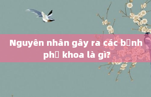 Nguyên nhân gây ra các bệnh phụ khoa là gì?