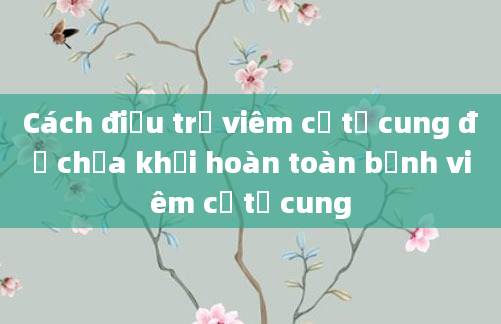 Cách điều trị viêm cổ tử cung để chữa khỏi hoàn toàn bệnh viêm cổ tử cung