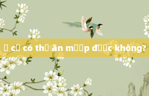 Ở cữ có thể ăn mướp được không?