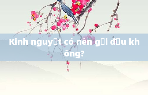 Kinh nguyệt có nên gội đầu không?