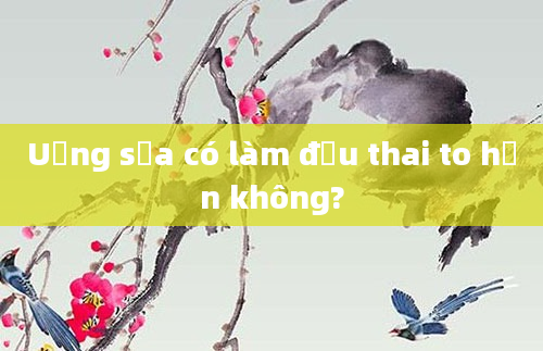 Uống sữa có làm đầu thai to hơn không?