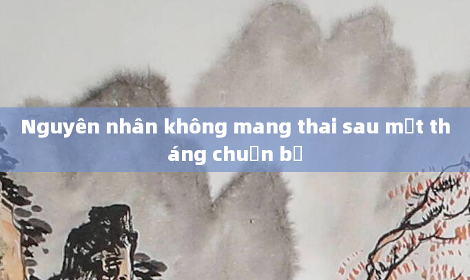 Nguyên nhân không mang thai sau một tháng chuẩn bị