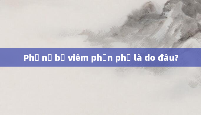 Phụ nữ bị viêm phần phụ là do đâu?