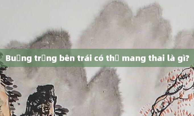 Buồng trứng bên trái có thể mang thai là gì?