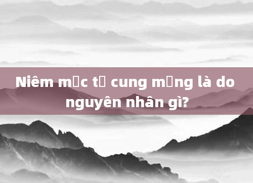 Niêm mạc tử cung mỏng là do nguyên nhân gì?