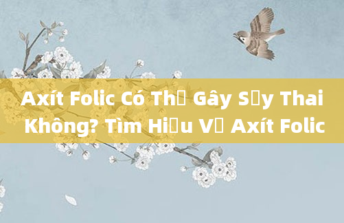 Axít Folic Có Thể Gây Sảy Thai Không? Tìm Hiểu Về Axít Folic