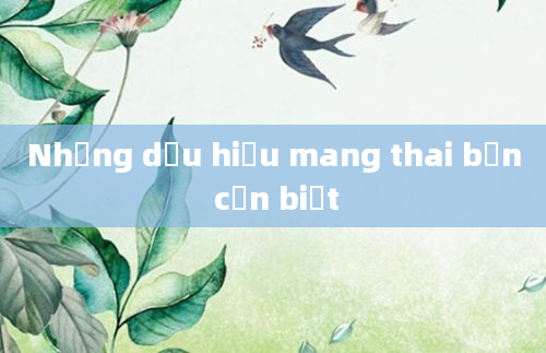 Những dấu hiệu mang thai bạn cần biết