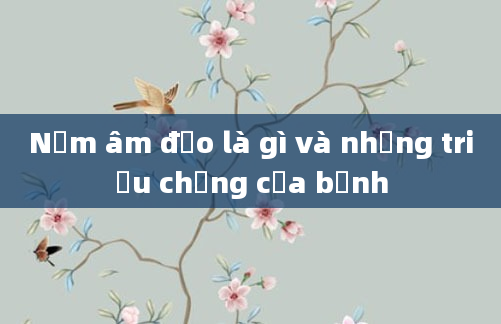 Nấm âm đạo là gì và những triệu chứng của bệnh