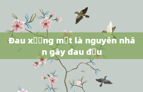 Đau xương mặt là nguyên nhân gây đau đầu
