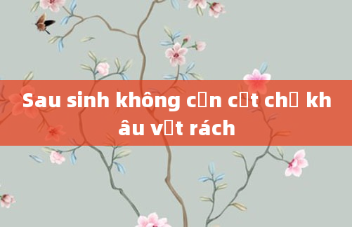 Sau sinh không cần cắt chỉ khâu vết rách