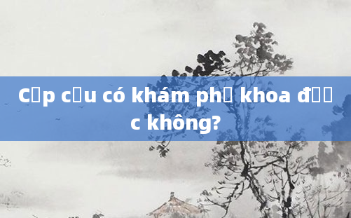 Cấp cứu có khám phụ khoa được không?