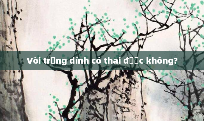 Vòi trứng dính có thai được không?