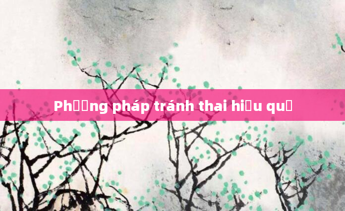 Phương pháp tránh thai hiệu quả