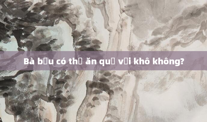 Bà bầu có thể ăn quả vải khô không?