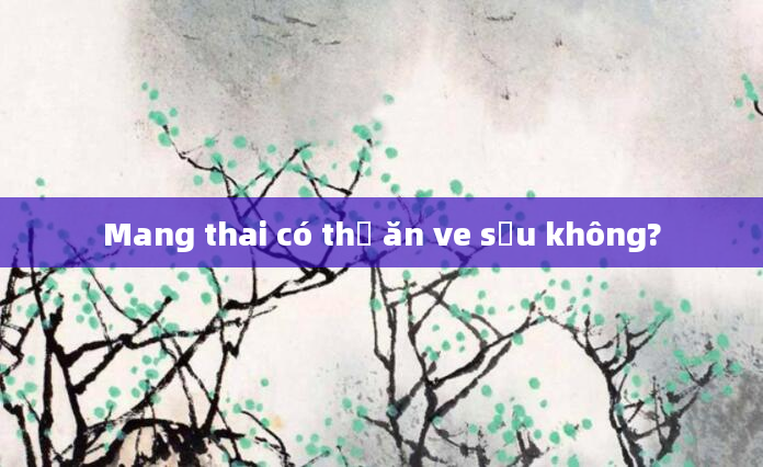 Mang thai có thể ăn ve sầu không?
