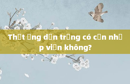 Thắt ống dẫn trứng có cần nhập viện không?