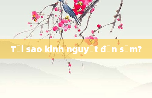 Tại sao kinh nguyệt đến sớm?