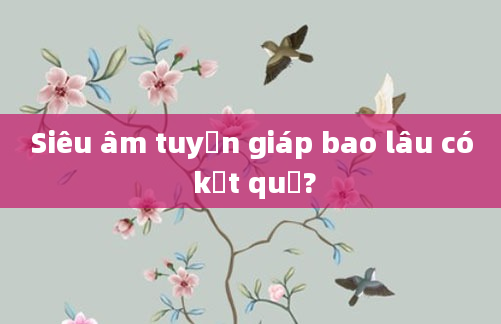 Siêu âm tuyến giáp bao lâu có kết quả?