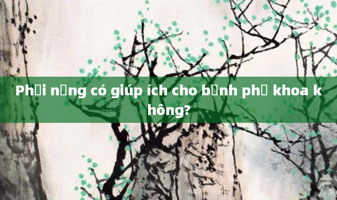 Phơi nắng có giúp ích cho bệnh phụ khoa không?