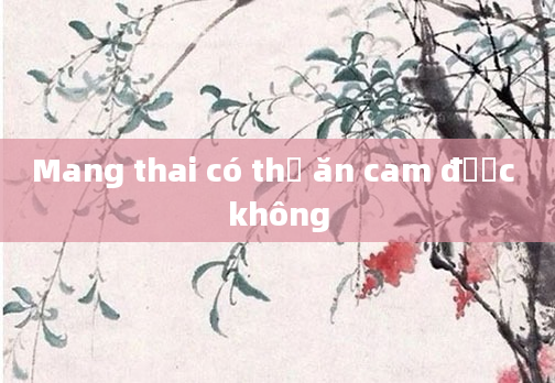 Mang thai có thể ăn cam được không