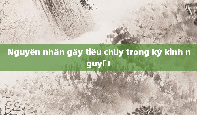 Nguyên nhân gây tiêu chảy trong kỳ kinh nguyệt