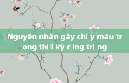 Nguyên nhân gây chảy máu trong thời kỳ rụng trứng