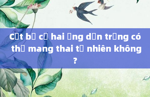 Cắt bỏ cả hai ống dẫn trứng có thể mang thai tự nhiên không?