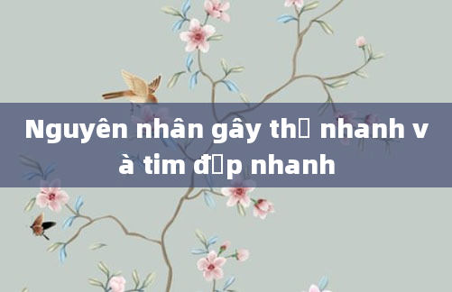 Nguyên nhân gây thở nhanh và tim đập nhanh