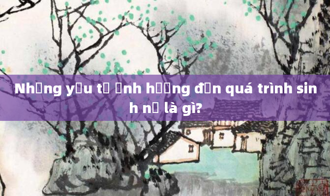 Những yếu tố ảnh hưởng đến quá trình sinh nở là gì?