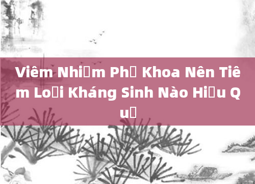 Viêm Nhiễm Phụ Khoa Nên Tiêm Loại Kháng Sinh Nào Hiệu Quả
