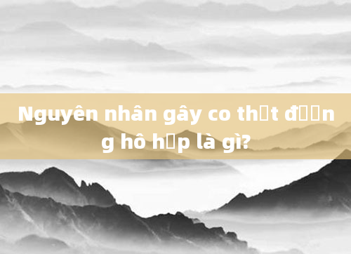 Nguyên nhân gây co thắt đường hô hấp là gì?