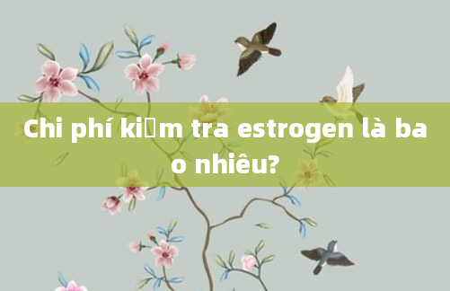 Chi phí kiểm tra estrogen là bao nhiêu?