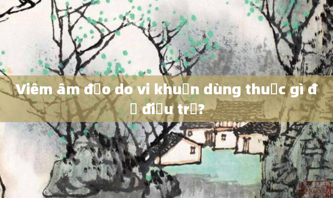 Viêm âm đạo do vi khuẩn dùng thuốc gì để điều trị?