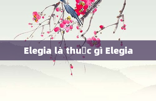 Elegia là thuốc gì Elegia