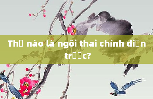 Thế nào là ngôi thai chính diện trước?