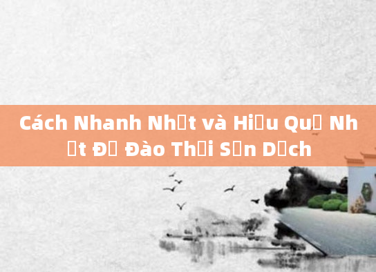 Cách Nhanh Nhất và Hiệu Quả Nhất Để Đào Thải Sản Dịch