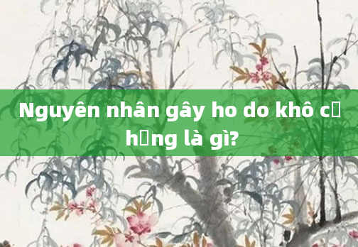 Nguyên nhân gây ho do khô cổ họng là gì?