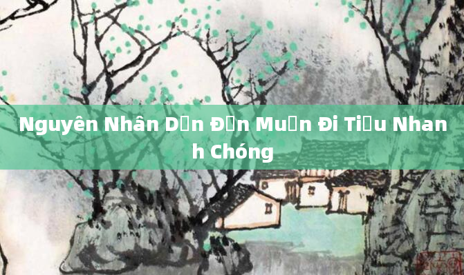 Nguyên Nhân Dẫn Đến Muốn Đi Tiểu Nhanh Chóng