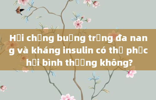 Hội chứng buồng trứng đa nang và kháng insulin có thể phục hồi bình thường không?