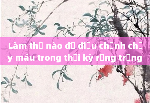 Làm thế nào để điều chỉnh chảy máu trong thời kỳ rụng trứng