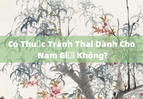 Có Thuốc Tránh Thai Dành Cho Nam Giới Không?