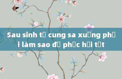 Sau sinh tử cung sa xuống phải làm sao để phục hồi tốt