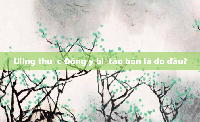 Uống thuốc Đông y bị táo bón là do đâu?