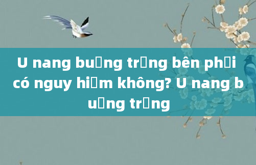 U nang buồng trứng bên phải có nguy hiểm không? U nang buồng trứng