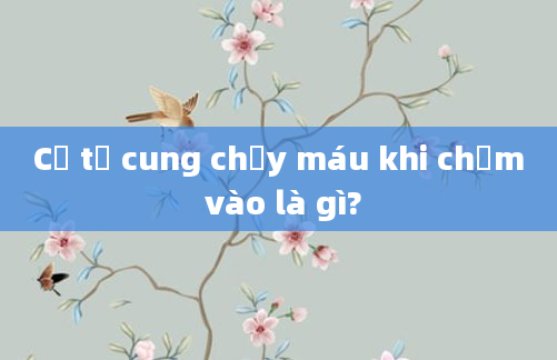 Cổ tử cung chảy máu khi chạm vào là gì?