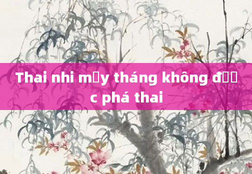 Thai nhi mấy tháng không được phá thai