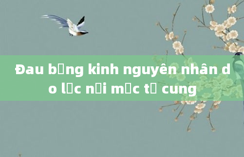 Đau bụng kinh nguyên nhân do lạc nội mạc tử cung