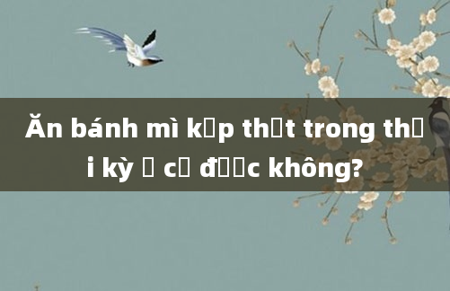 Ăn bánh mì kẹp thịt trong thời kỳ ở cữ được không?