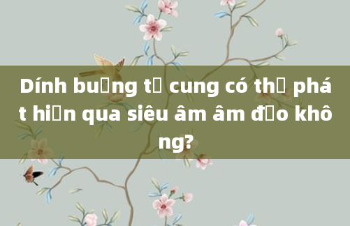 Dính buồng tử cung có thể phát hiện qua siêu âm âm đạo không?
