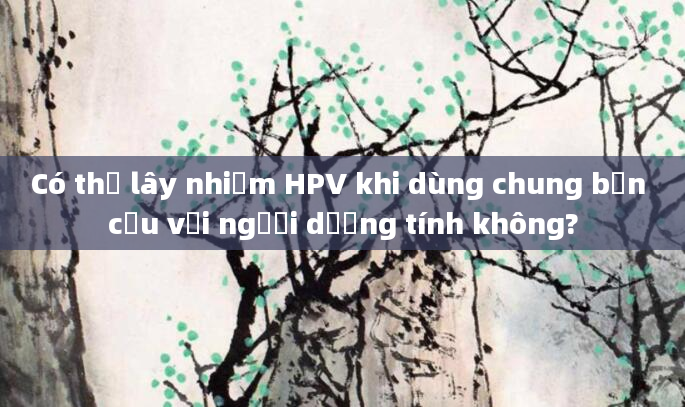 Có thể lây nhiễm HPV khi dùng chung bồn cầu với người dương tính không?